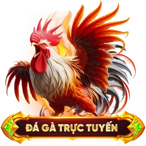 đá gà trực tuyến KUBET